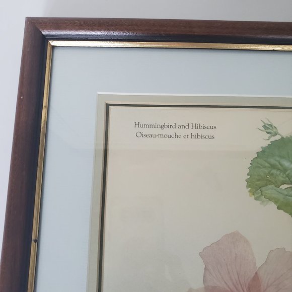 Matted & Wood Framed Wall Art Print Hummingbird Hibiscus Flower Gallery Wall - Picture 4 of 11